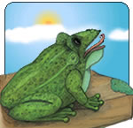 WatchFrog Barking
